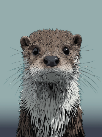 Picture for category Mud The Otter