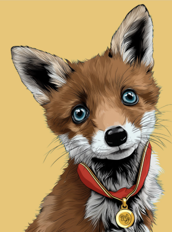 Picture for category Dart The Fox